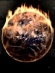 Cultura en decadencia - Episodio 5: Baby Go Boom! Cultura en decadencia - Episodio 5: Baby Go Boom!